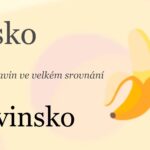 Porovnání spotřebitelských cen 2016-2022: Česko a Slovinsko